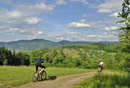 Near Freiburg