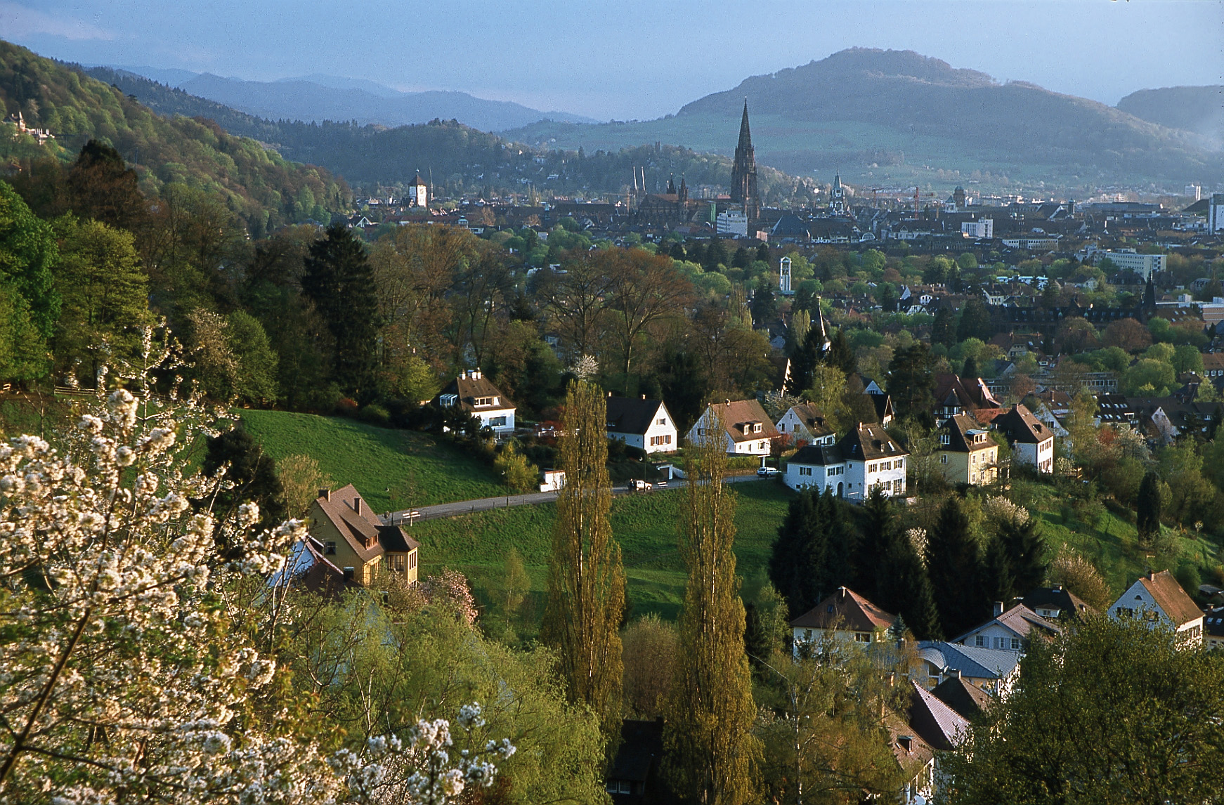 View From Herdern