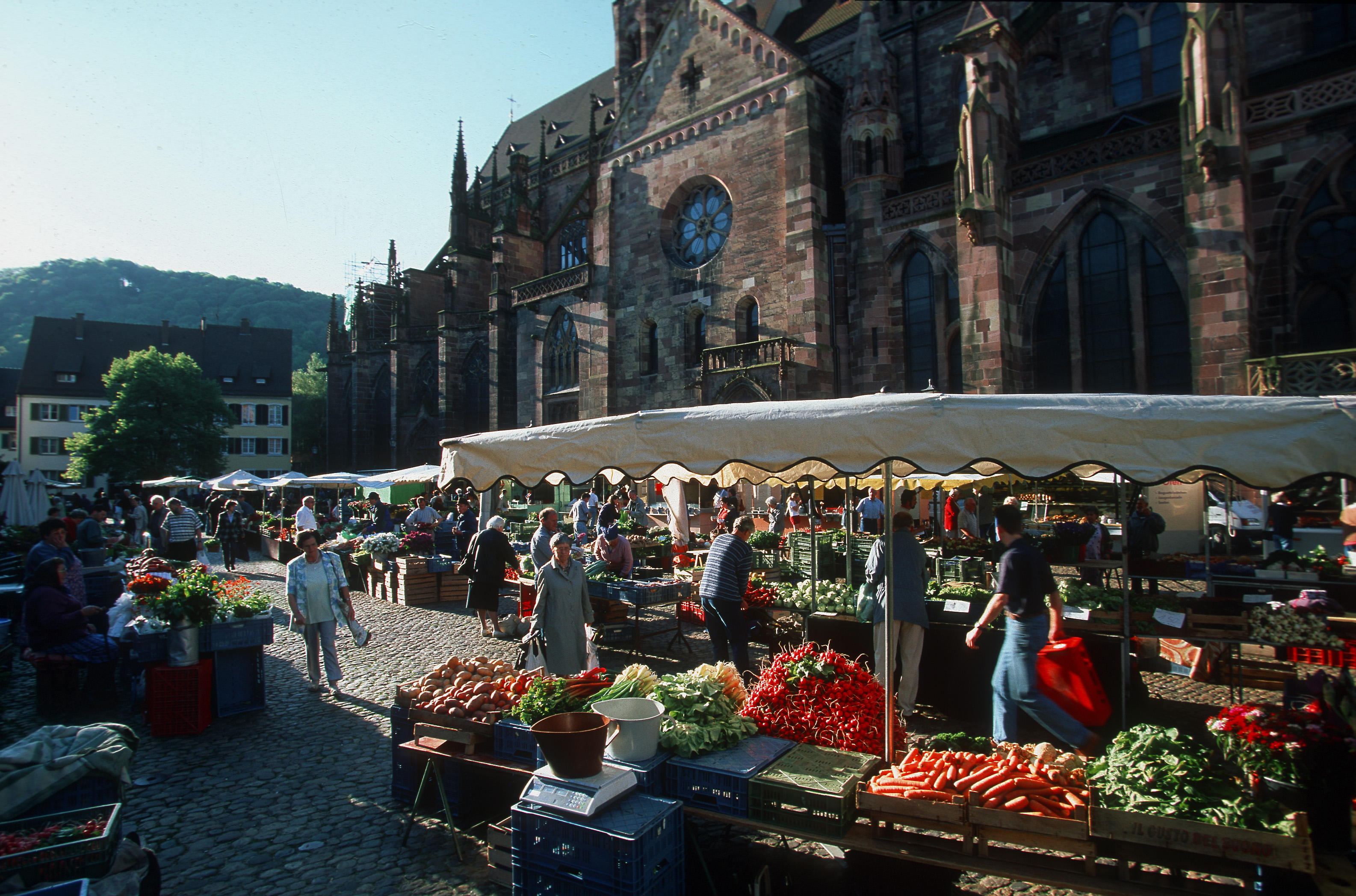 Farmers Market