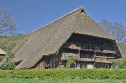 Near Freiburg