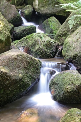 Near Freiburg