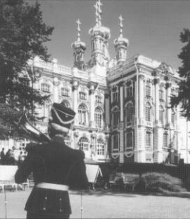 The Catherine Palace at Tsarskoe Selo